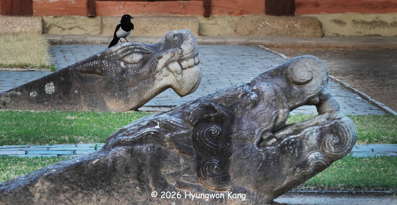 The dragon heads of Kaesong: Where an empire ended and learning endured