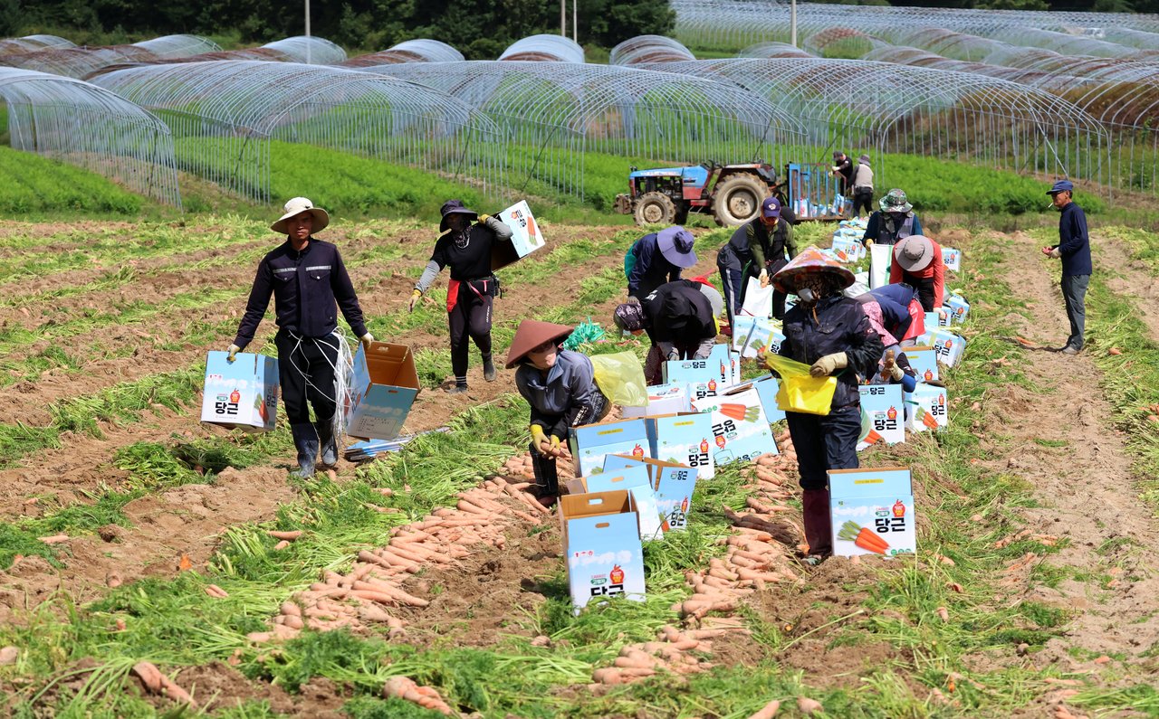 [Exclusive] E-9 workers near border up 53% since 2021