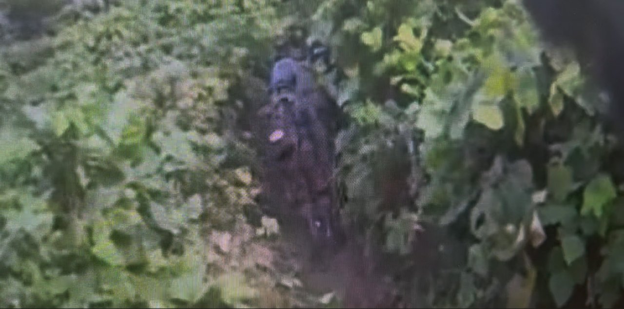 N. Korea warns of 'powerful counteraction' if S. Korea intrudes 'even a millimeter' into its territory